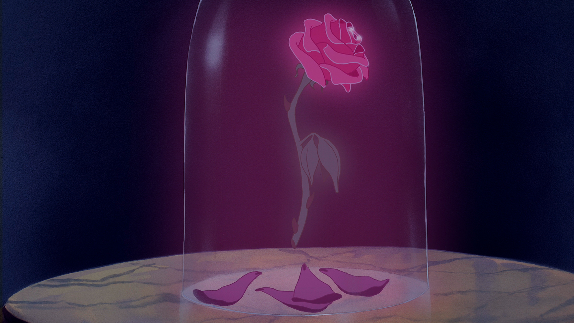 Beauty and the Beast