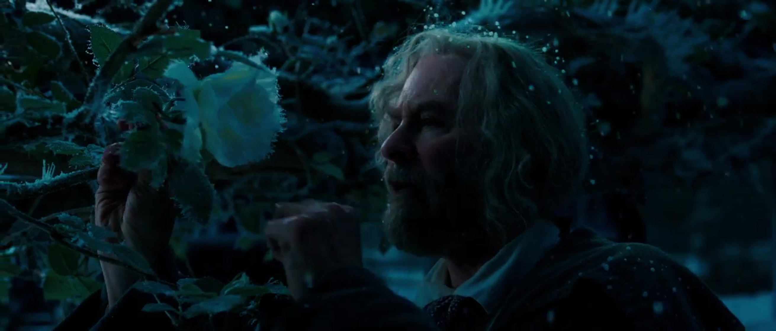Beauty and the Beast