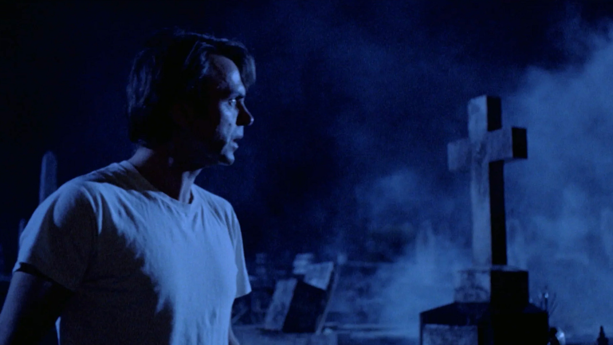 Death in Brunswick (1990)