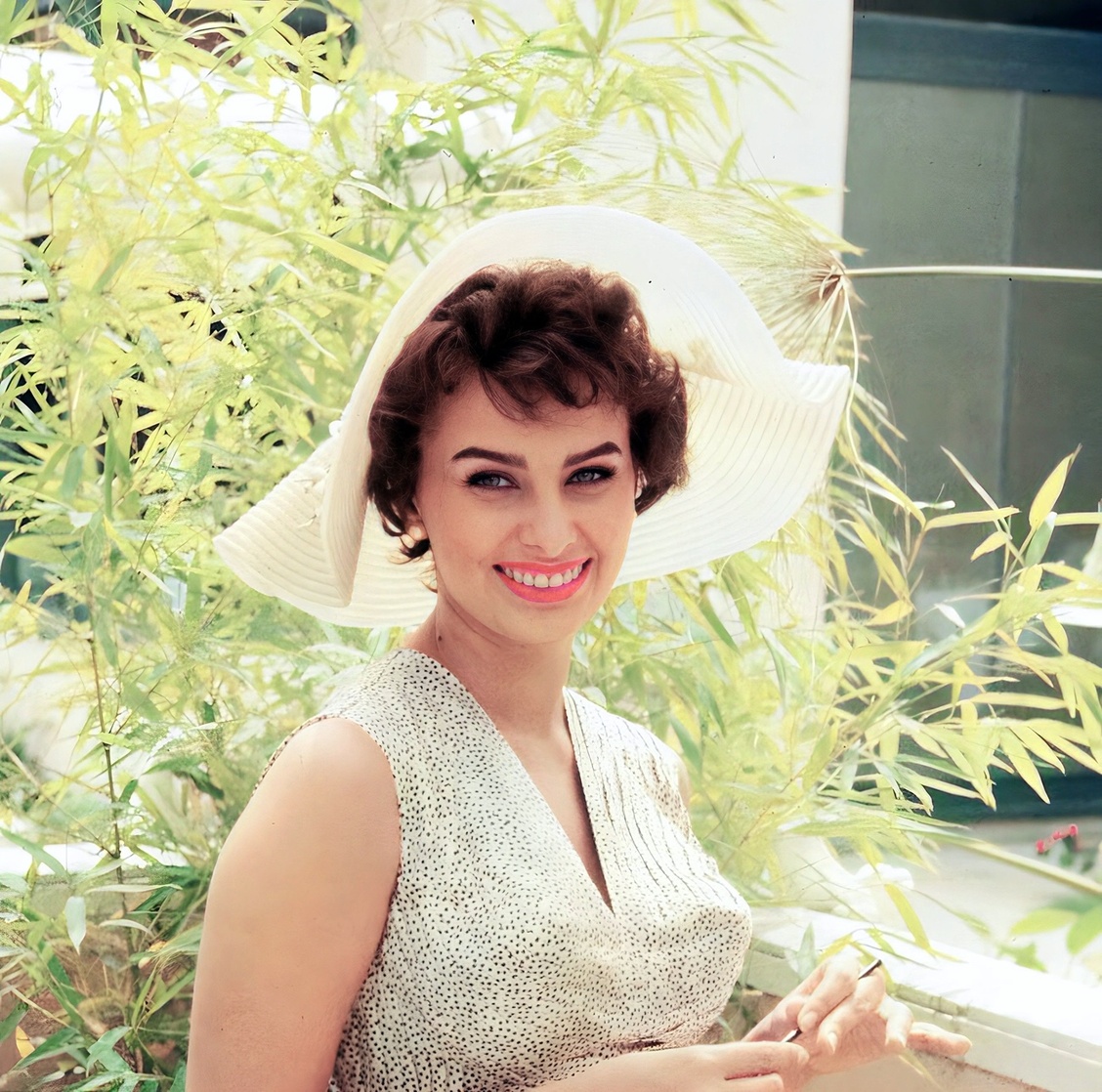 Sophia Loren Sophia Loren