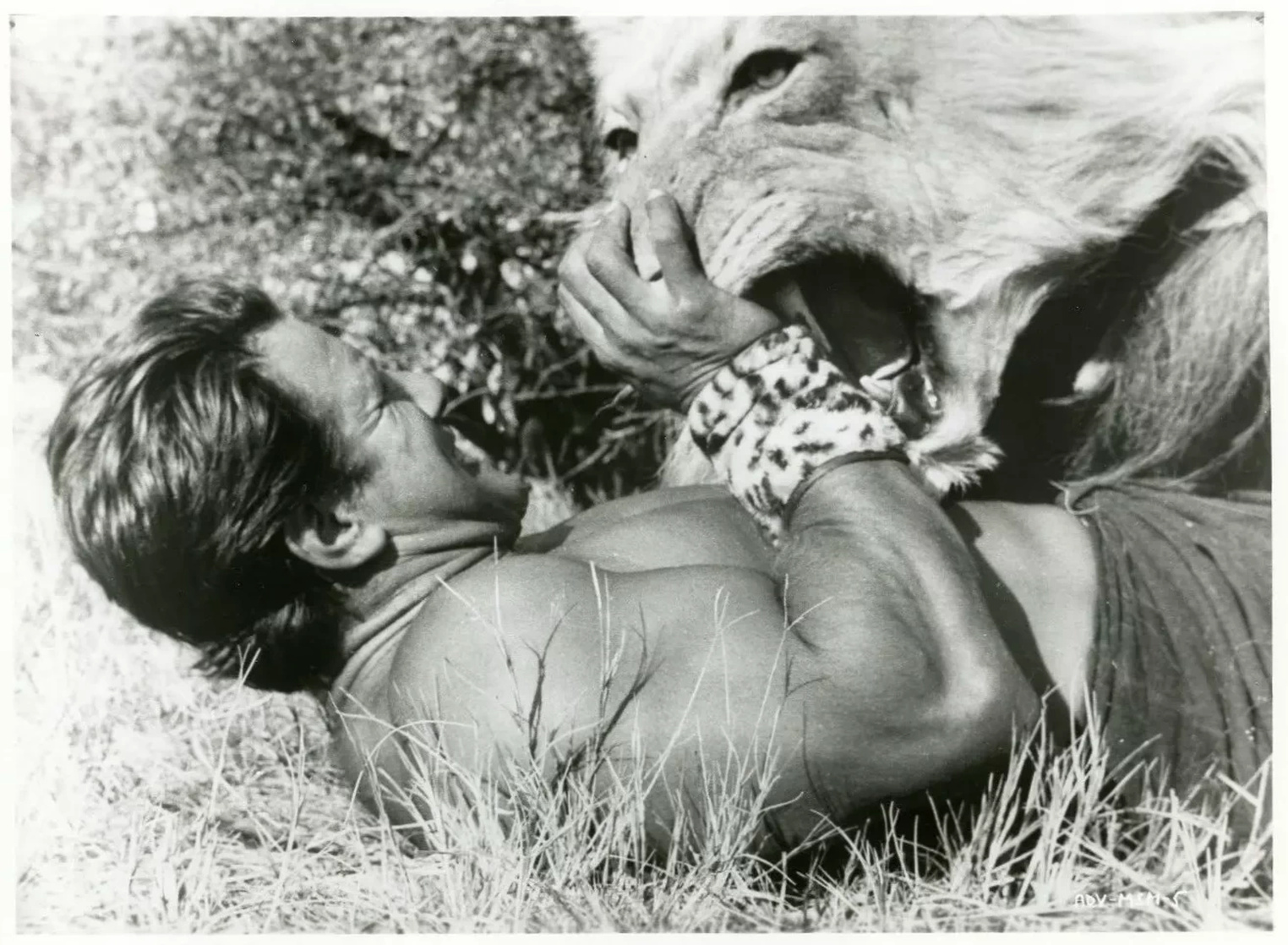 Samson in King Solomon's Mines