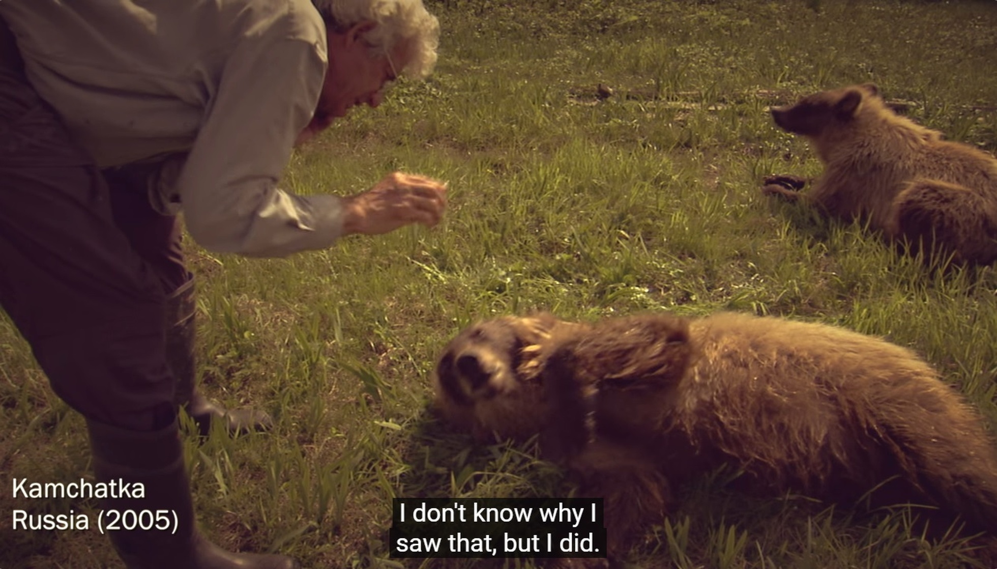The Grizzly Truth