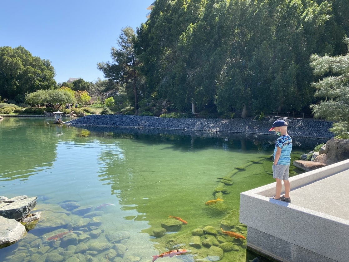 Japanese Friendship Garden of Phoenix, Arizona