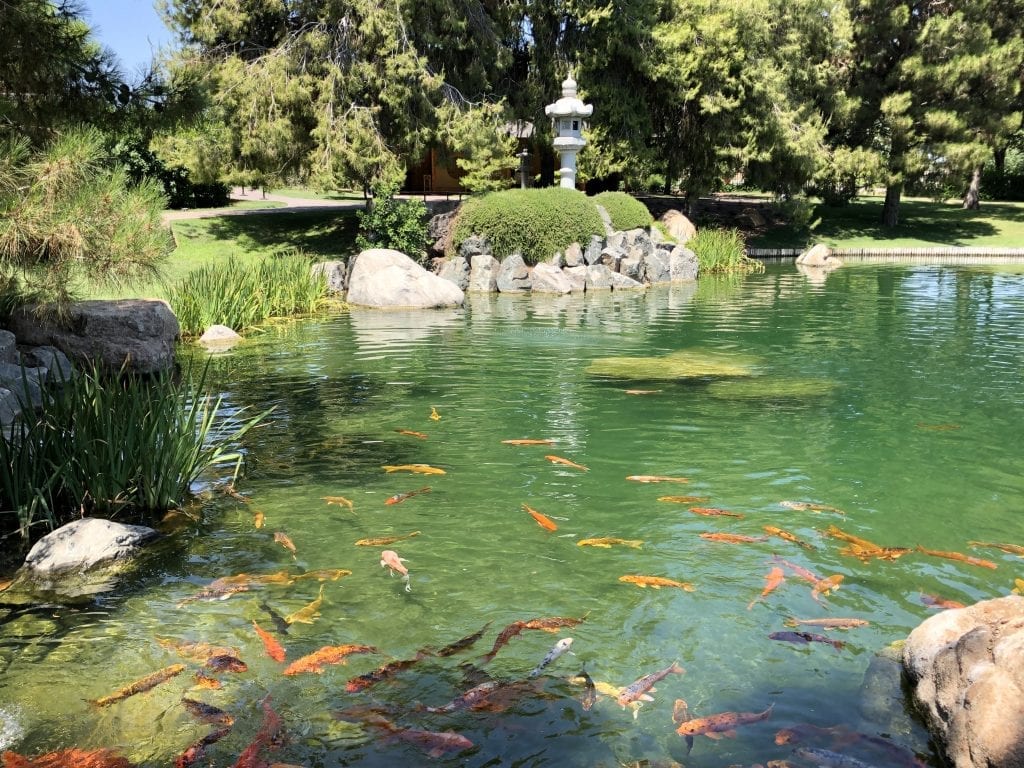 Japanese Friendship Garden of Phoenix, Arizona