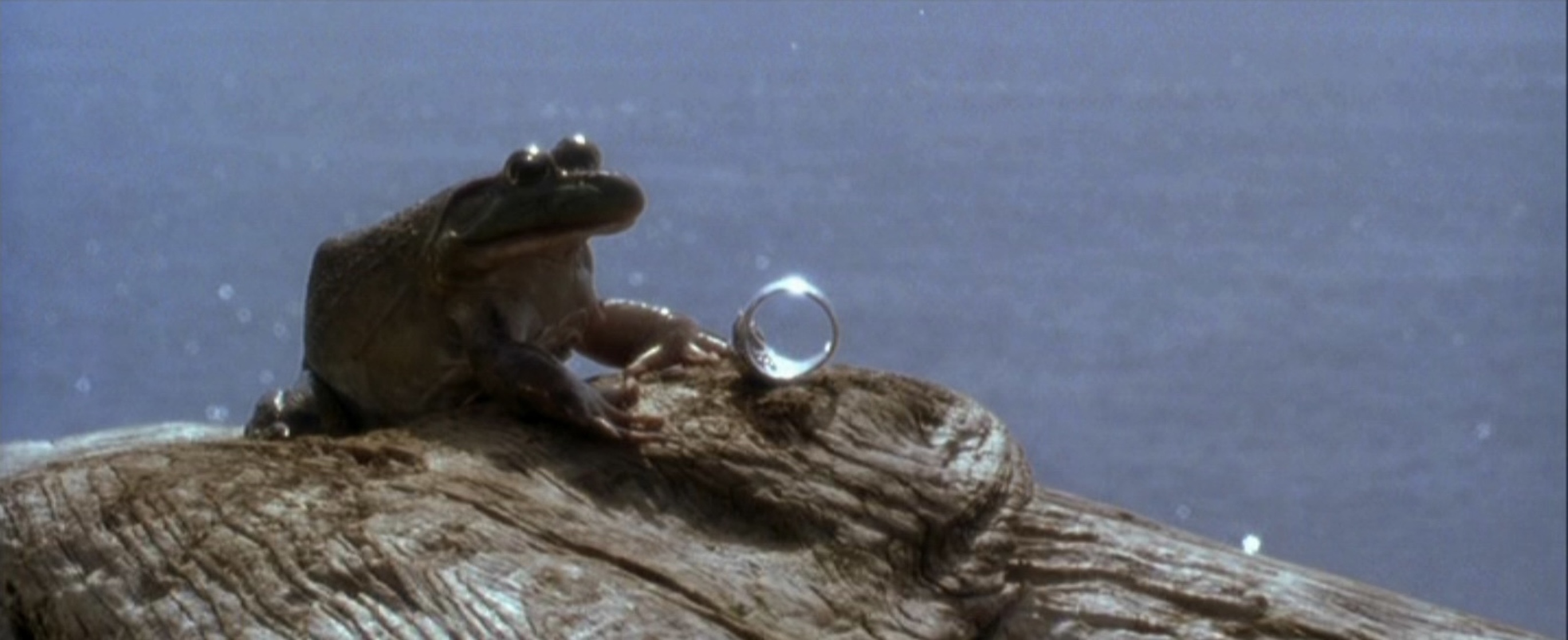 Practical Magic