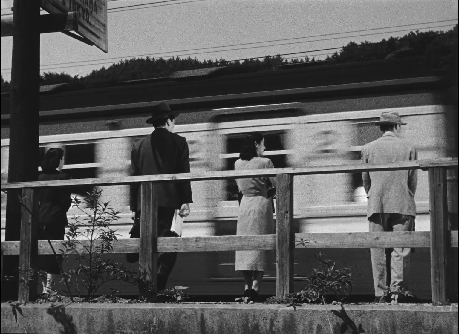 Early Summer