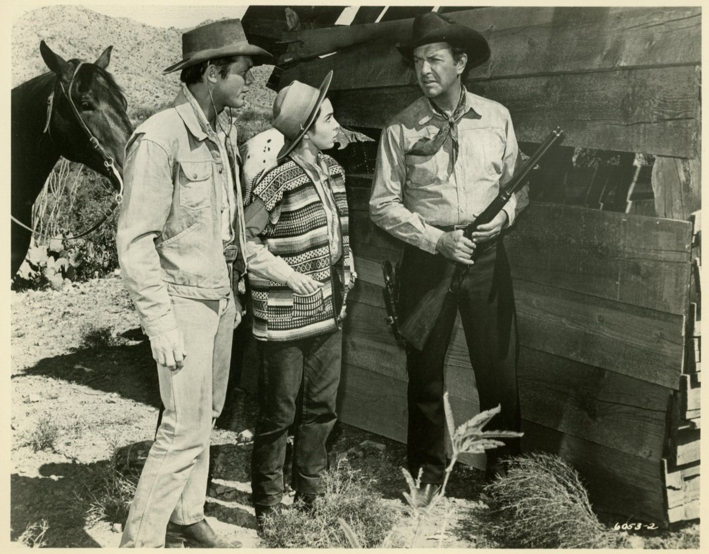 Return of the Gunfighter