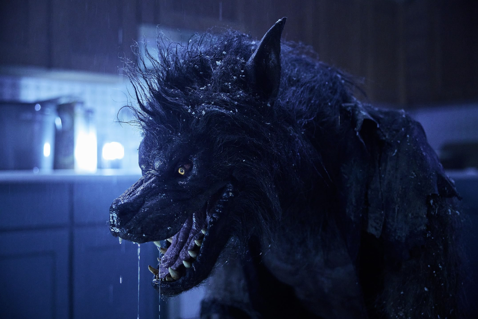 Werewolves Werewolves