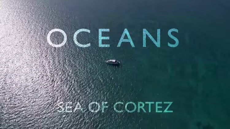 Oceans