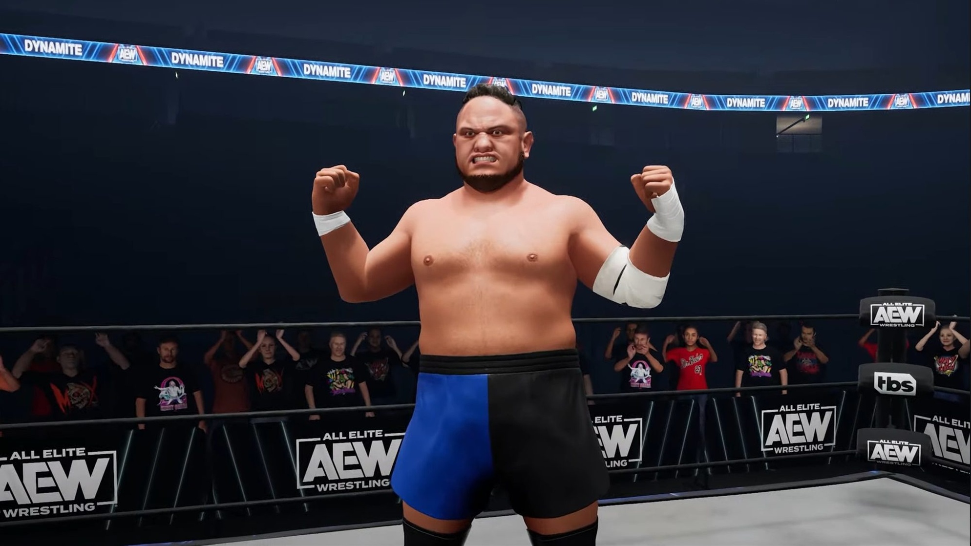 AEW: Fight Forever on Steam (PC)