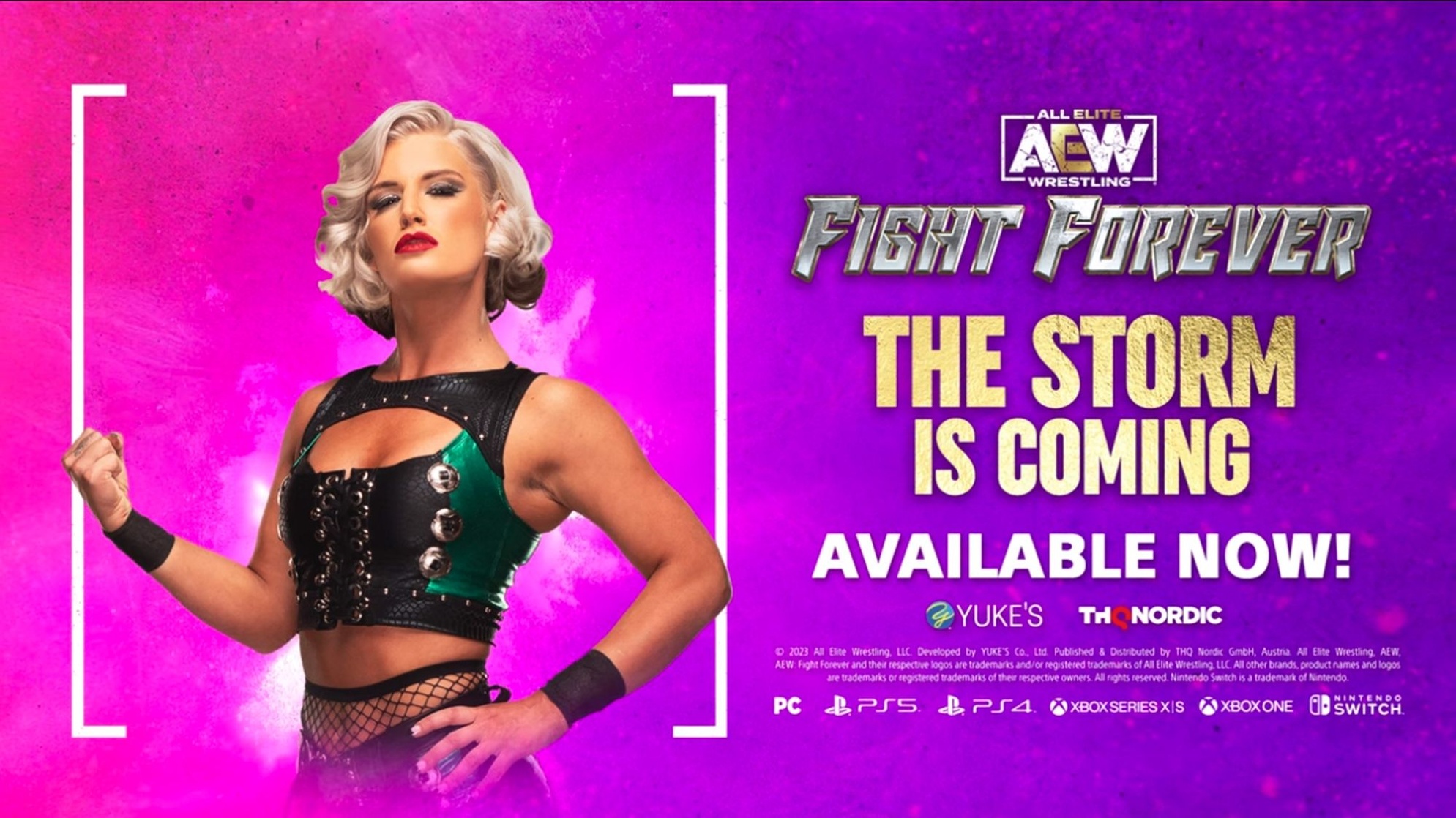 AEW: Fight Forever on Steam (PC)