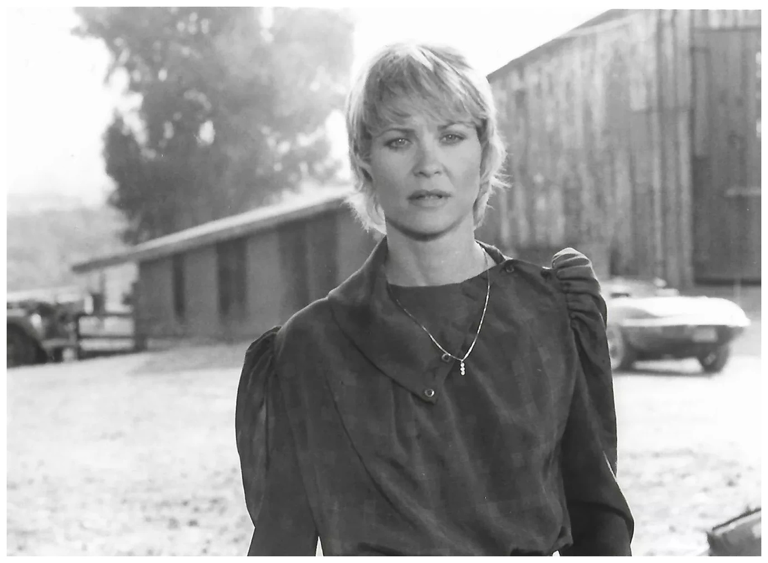 Dee Wallace