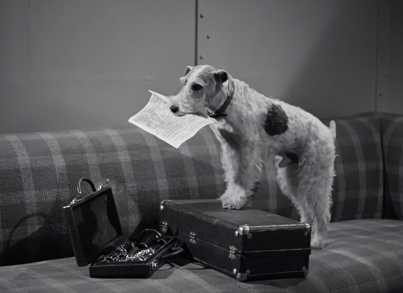 Song of the Thin Man Song of the Thin Man
