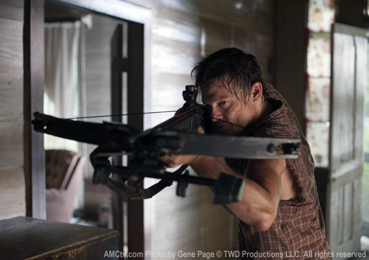 The Walking Dead The Walking Dead