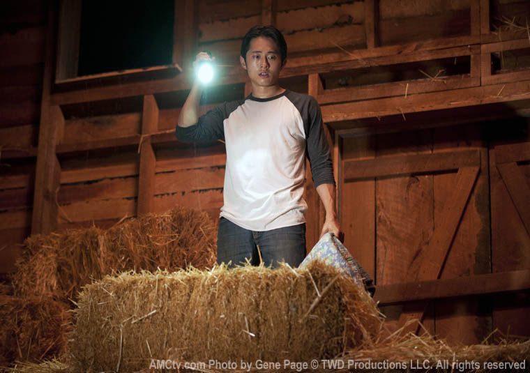 The Walking Dead The Walking Dead