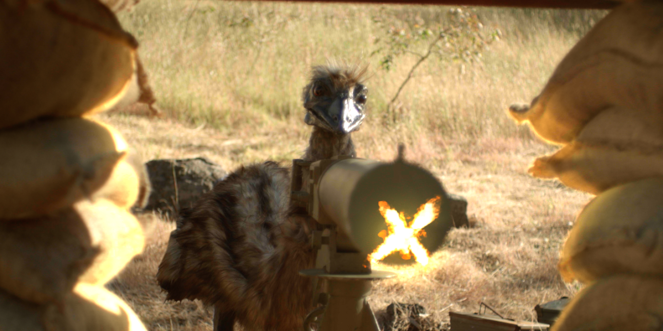 The Emu War