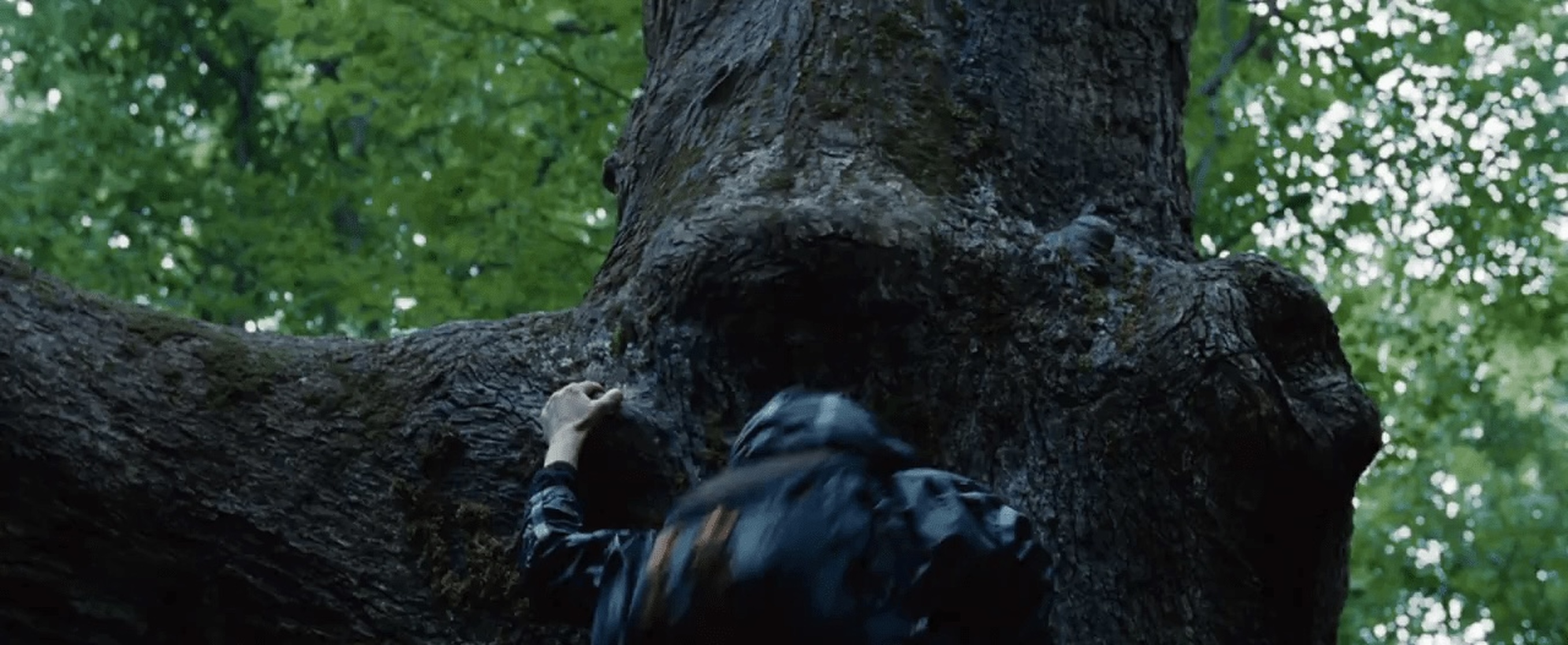 The Hunger Games