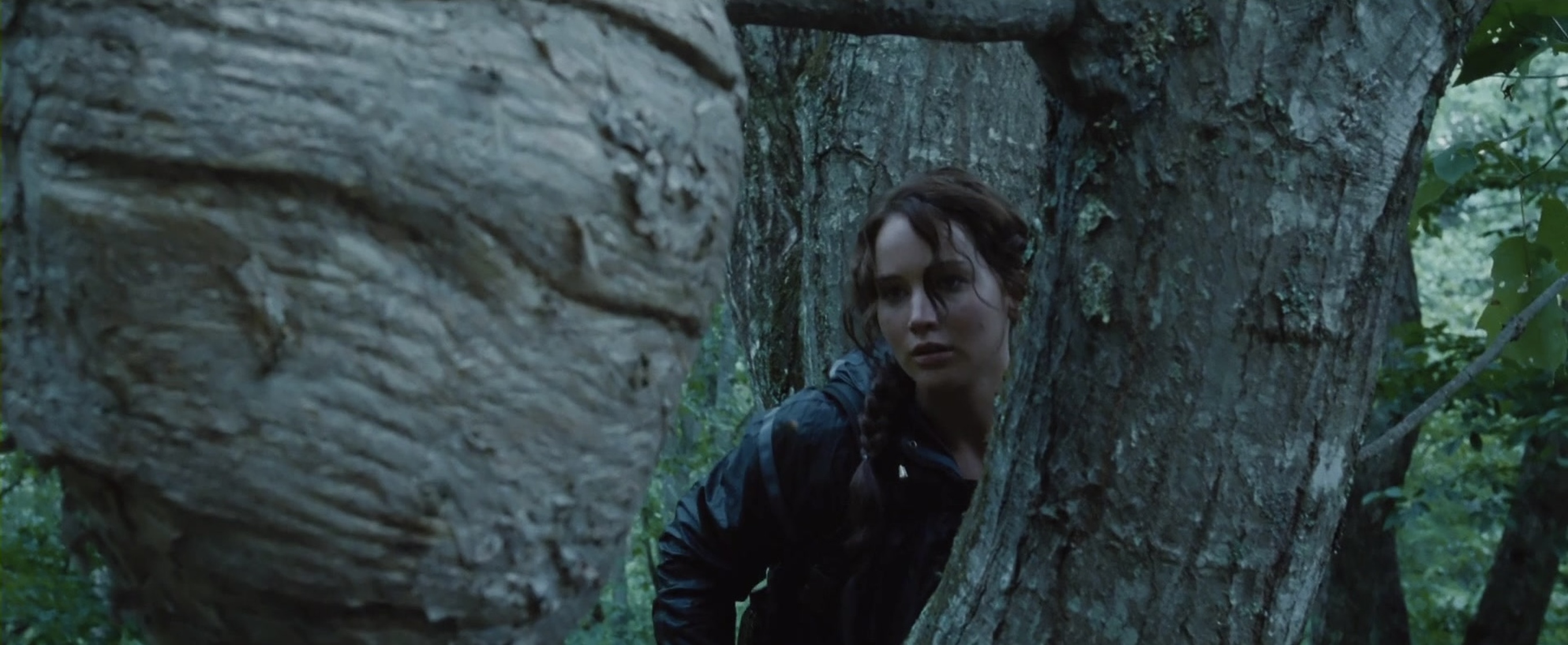 The Hunger Games