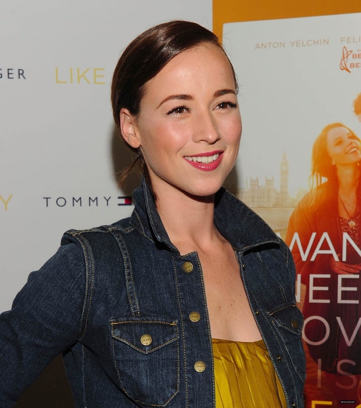 Karine Vanasse looks like