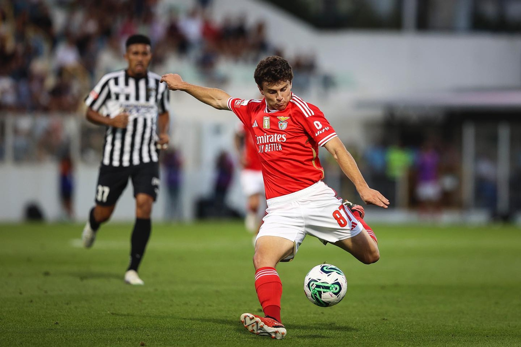 João Neves