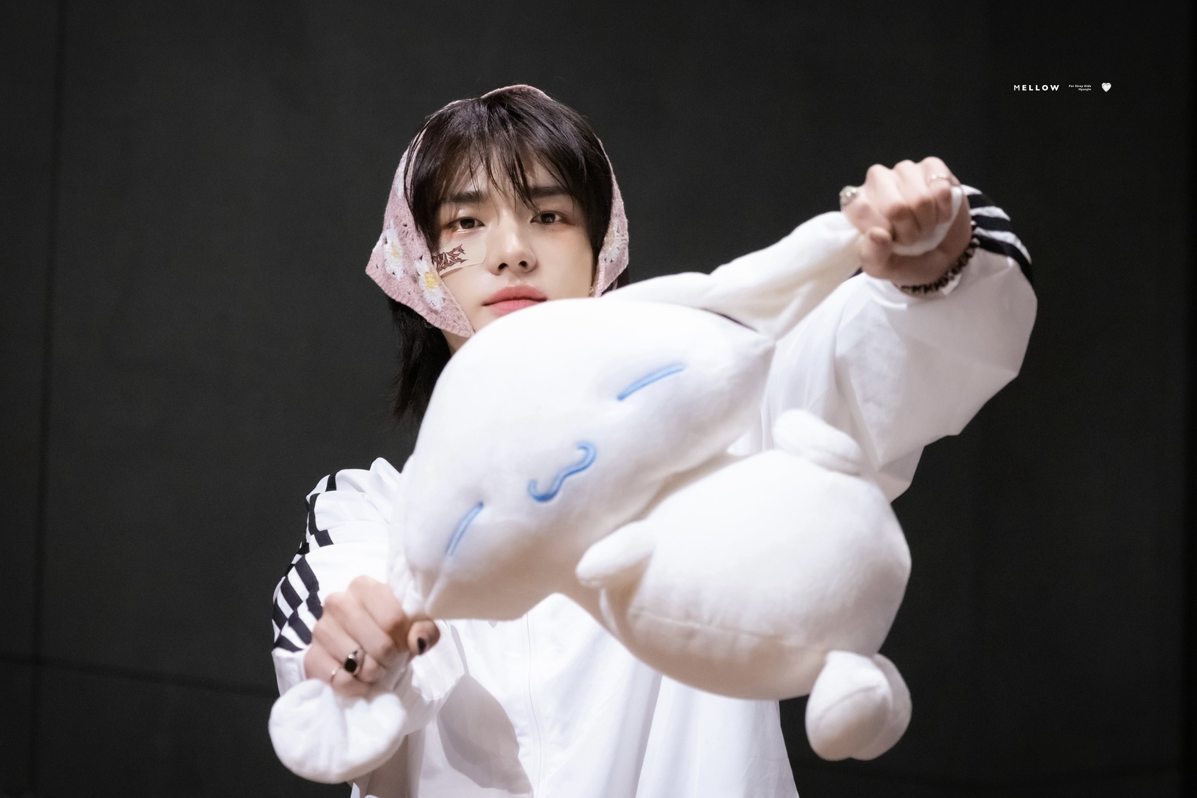 Hyun-Jin Hwang