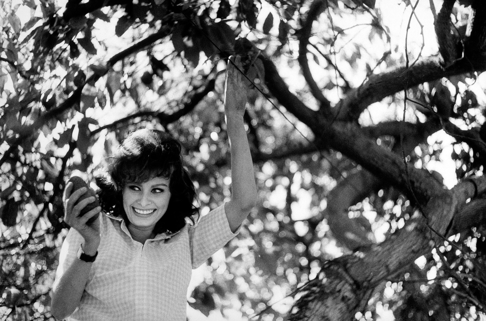 Sophia Loren Sophia Loren