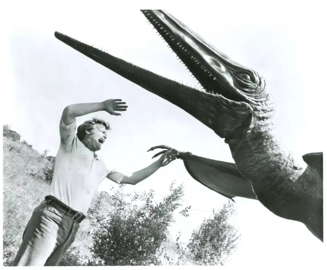 Doug McClure