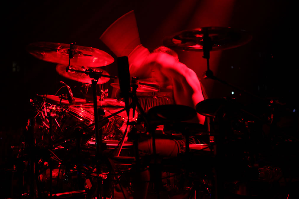 Shannon Leto