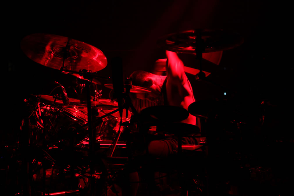 Shannon Leto