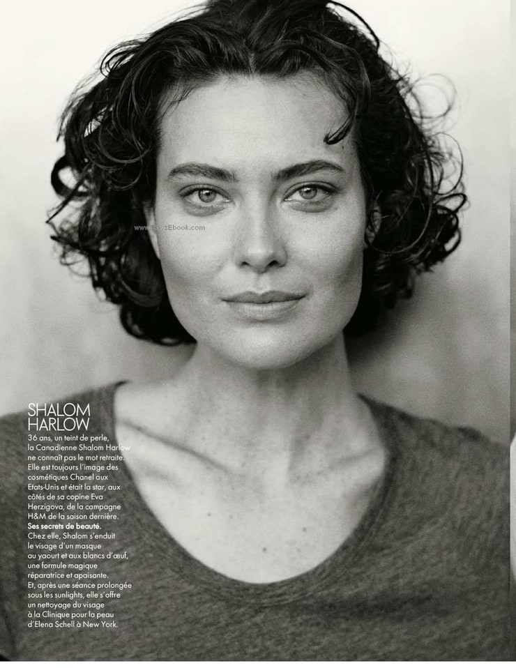 picture-of-shalom-harlow