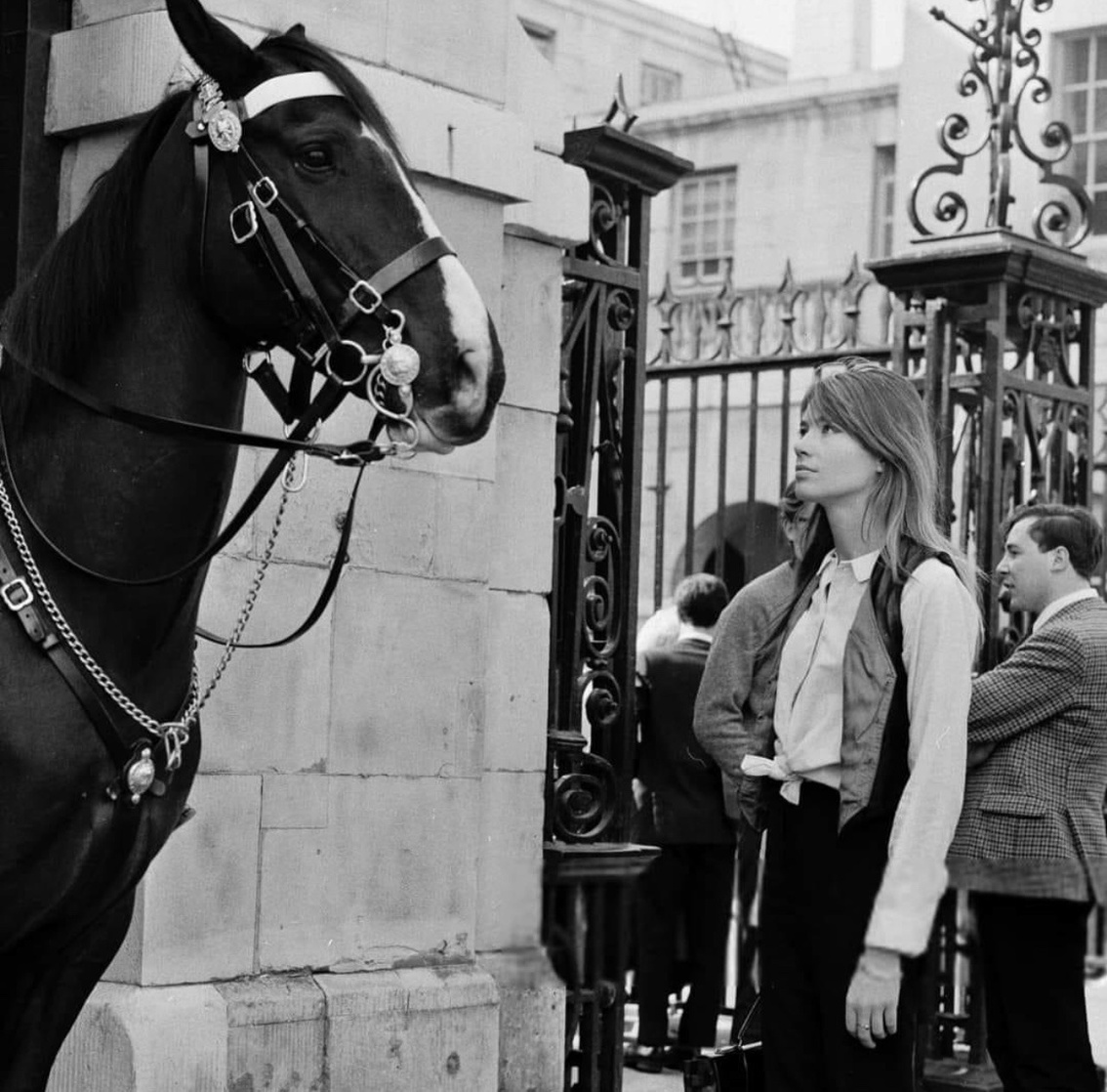 Picture of Françoise Hardy