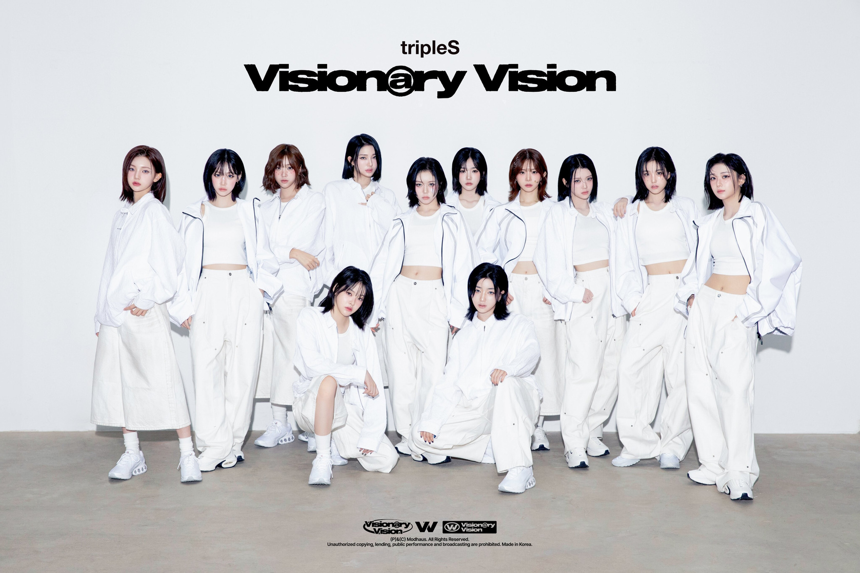 Visionary Vision