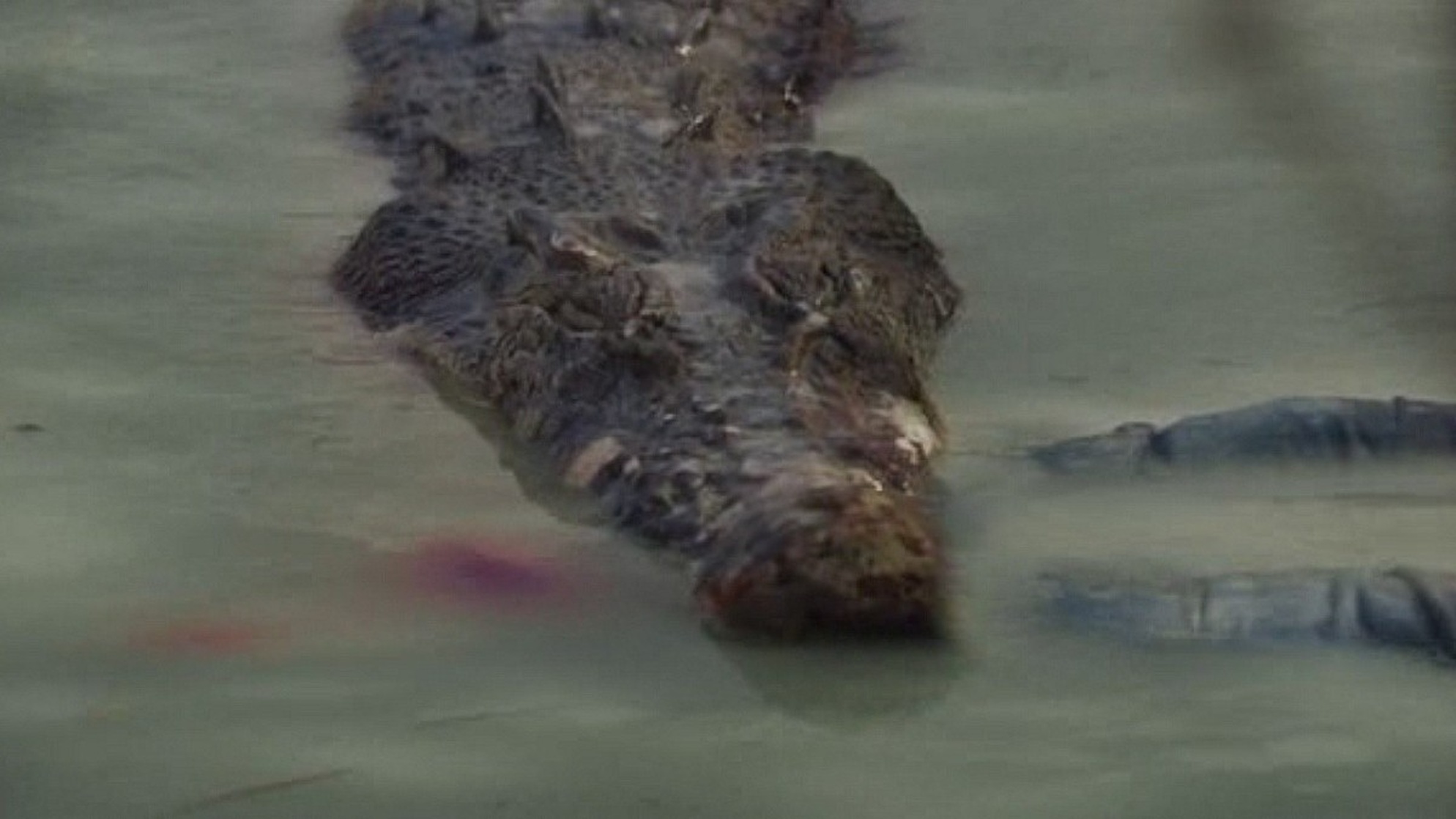 Black Water (2007)