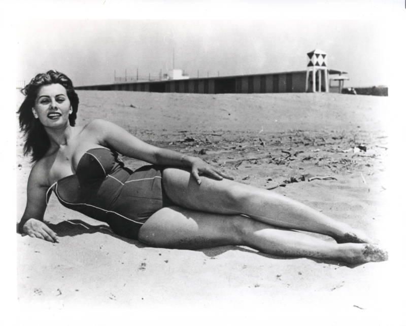 Sophia Loren