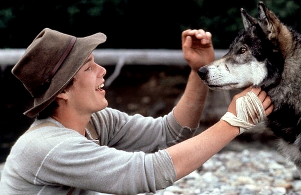 1991 White Fang 1991 White Fang
