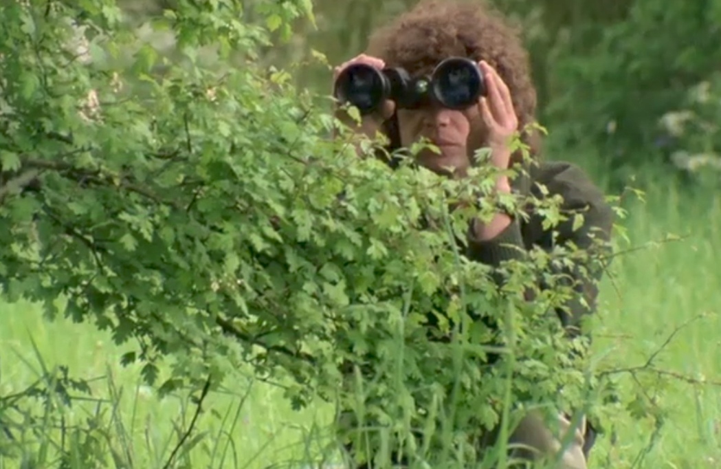 A Hiding to Nothing