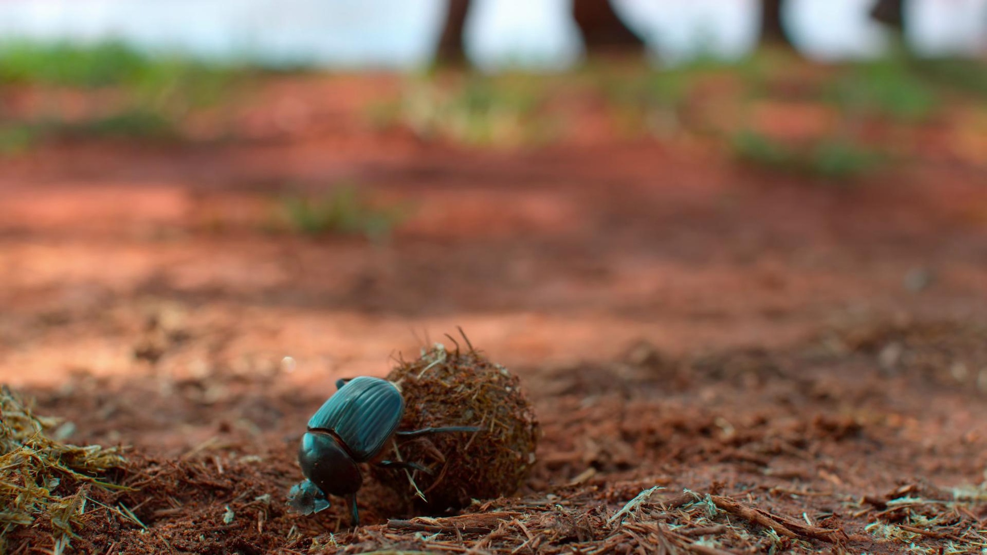 Tiny World Tiny World