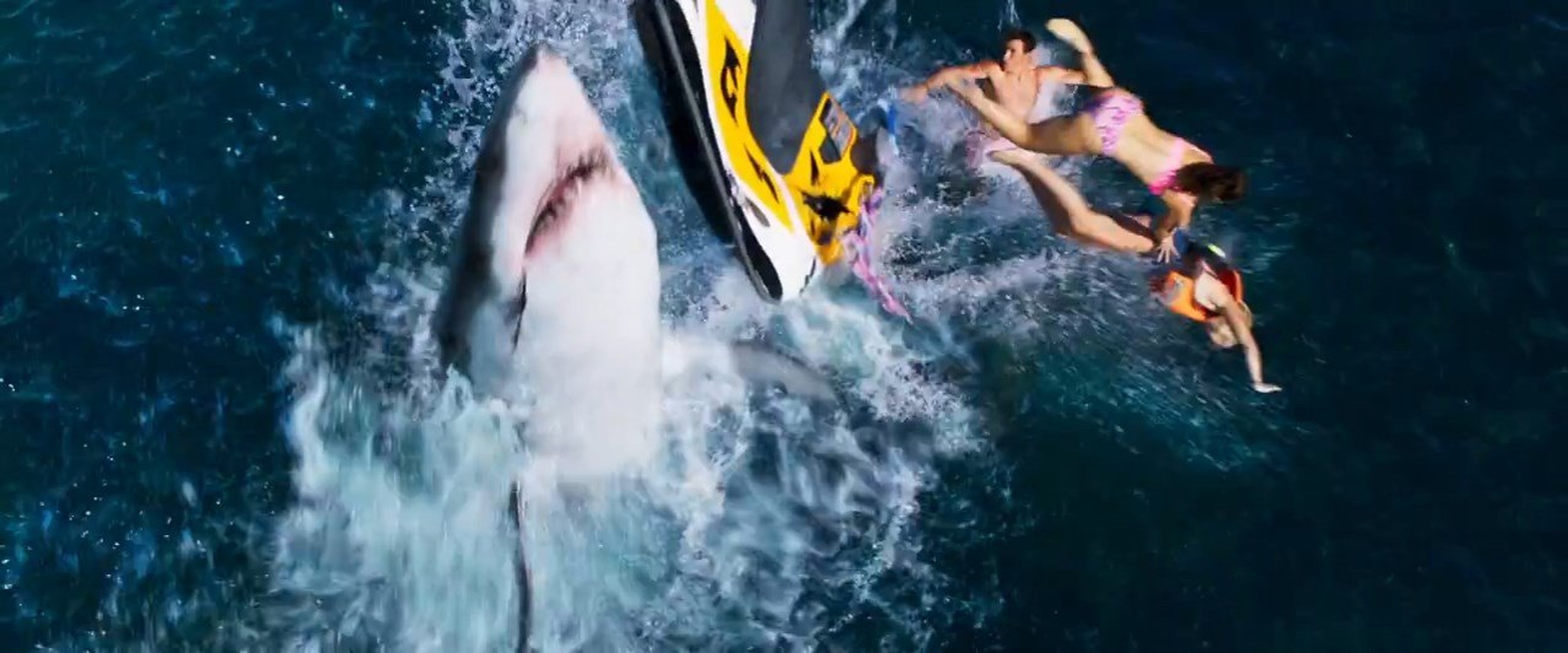 Shark Bait