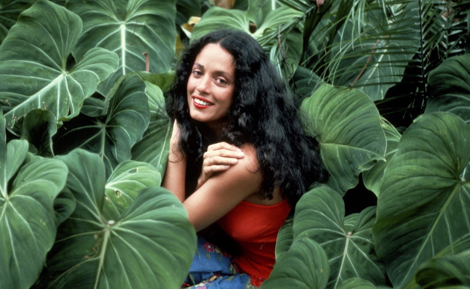 Sonia Braga Sonia Braga
