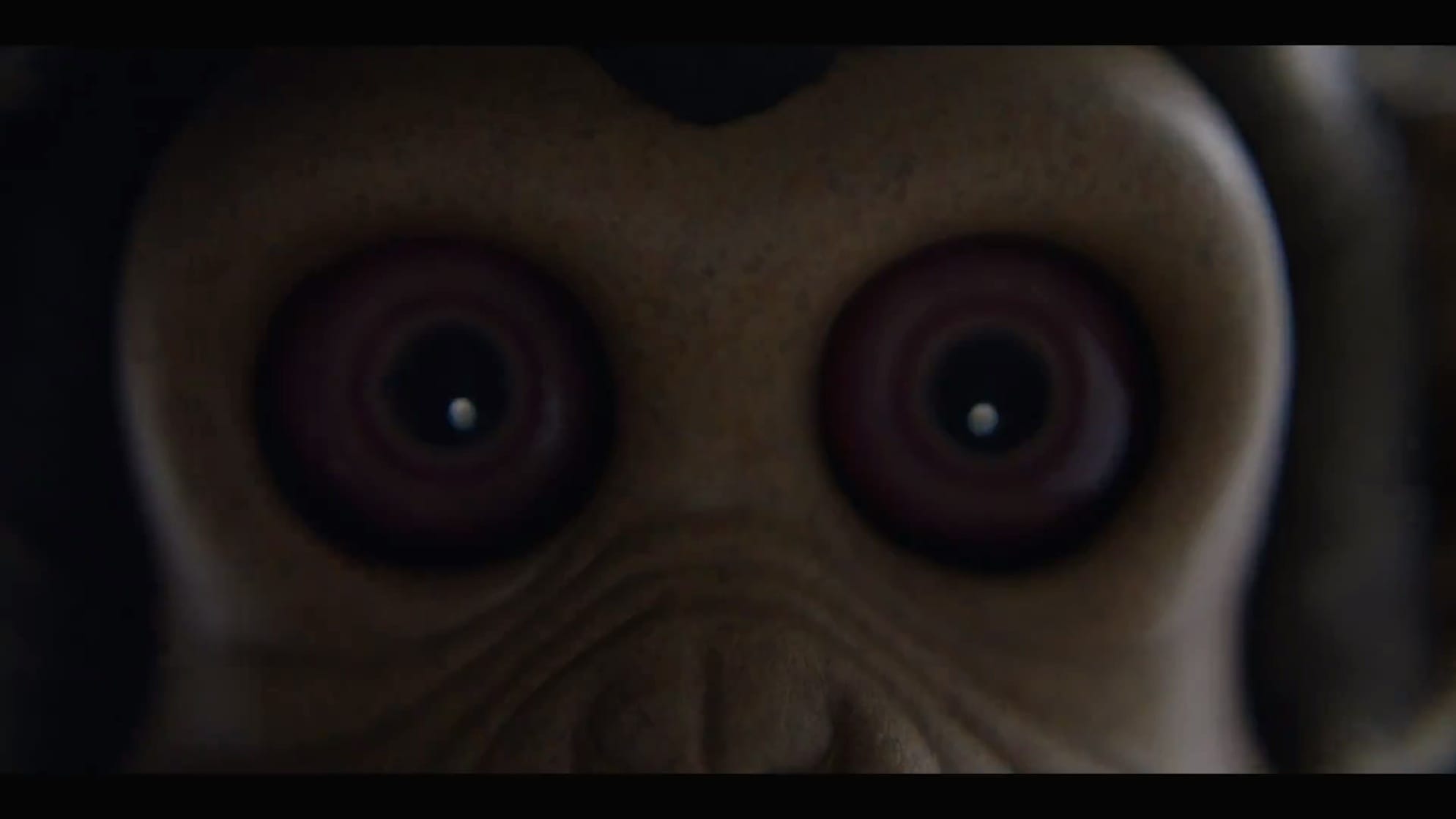 The Monkey