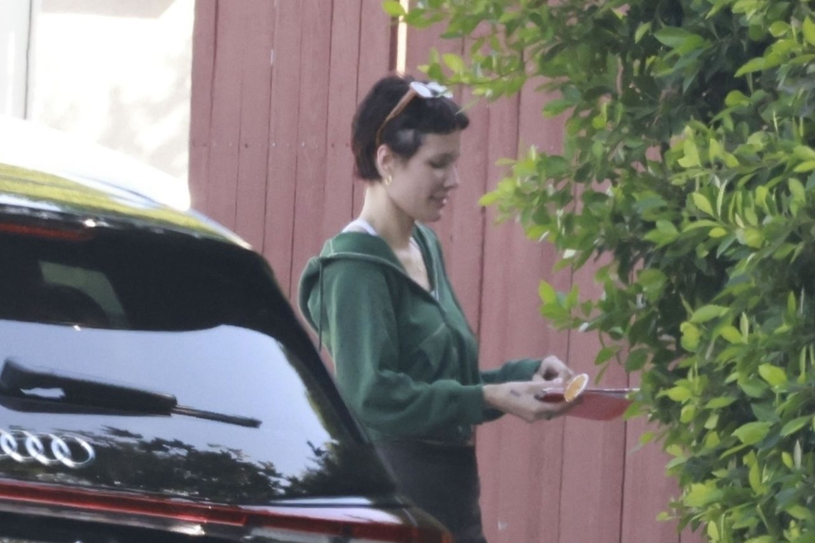 Halsey