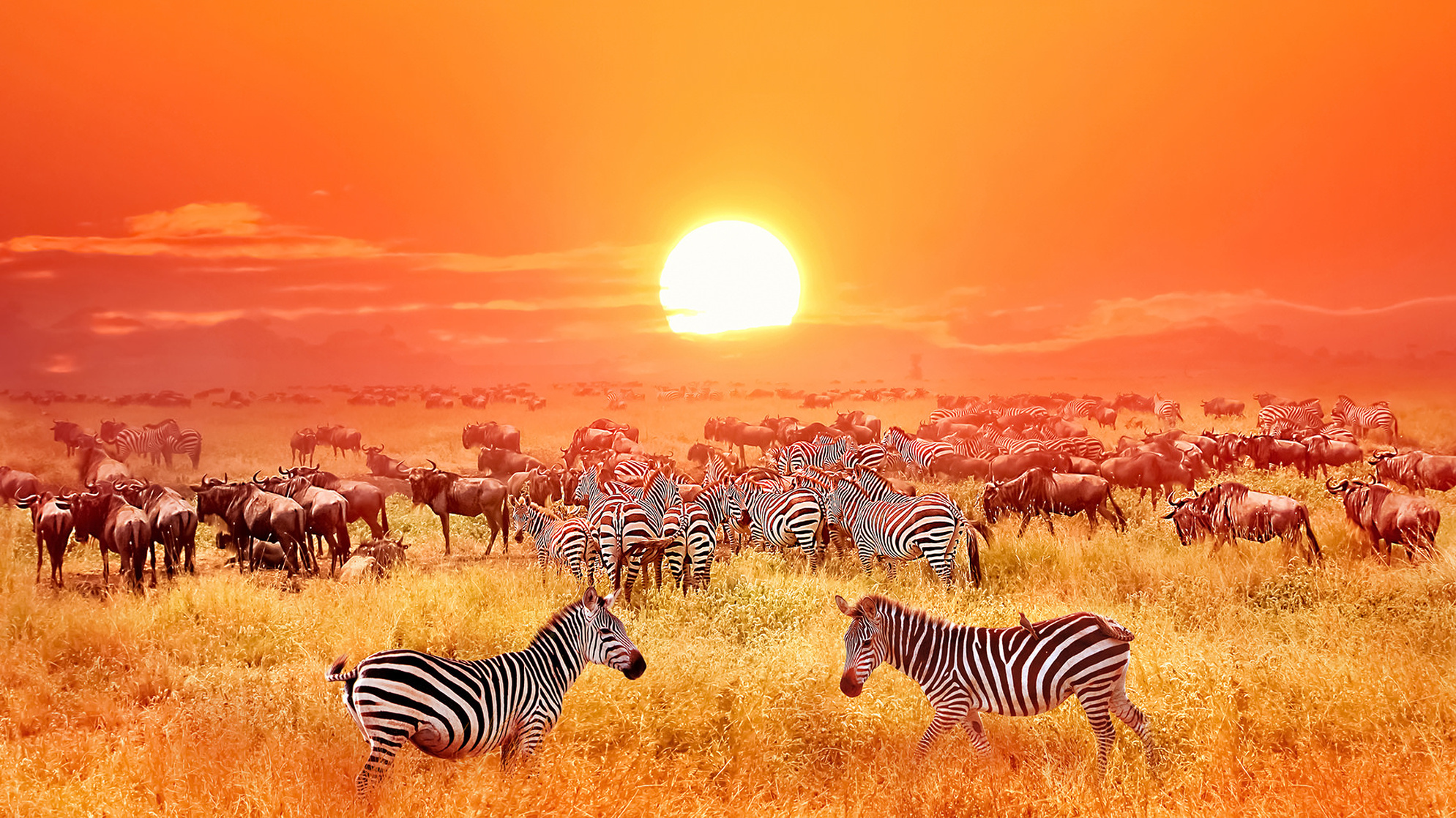 Serengeti National Park Serengeti National Park