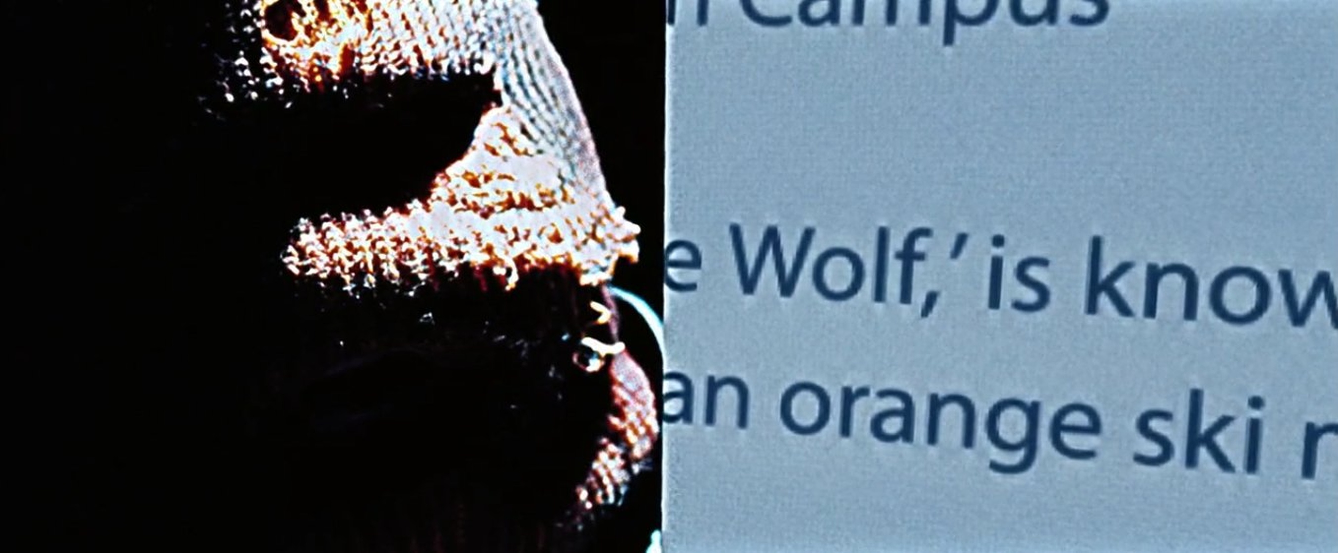 Cry Wolf
