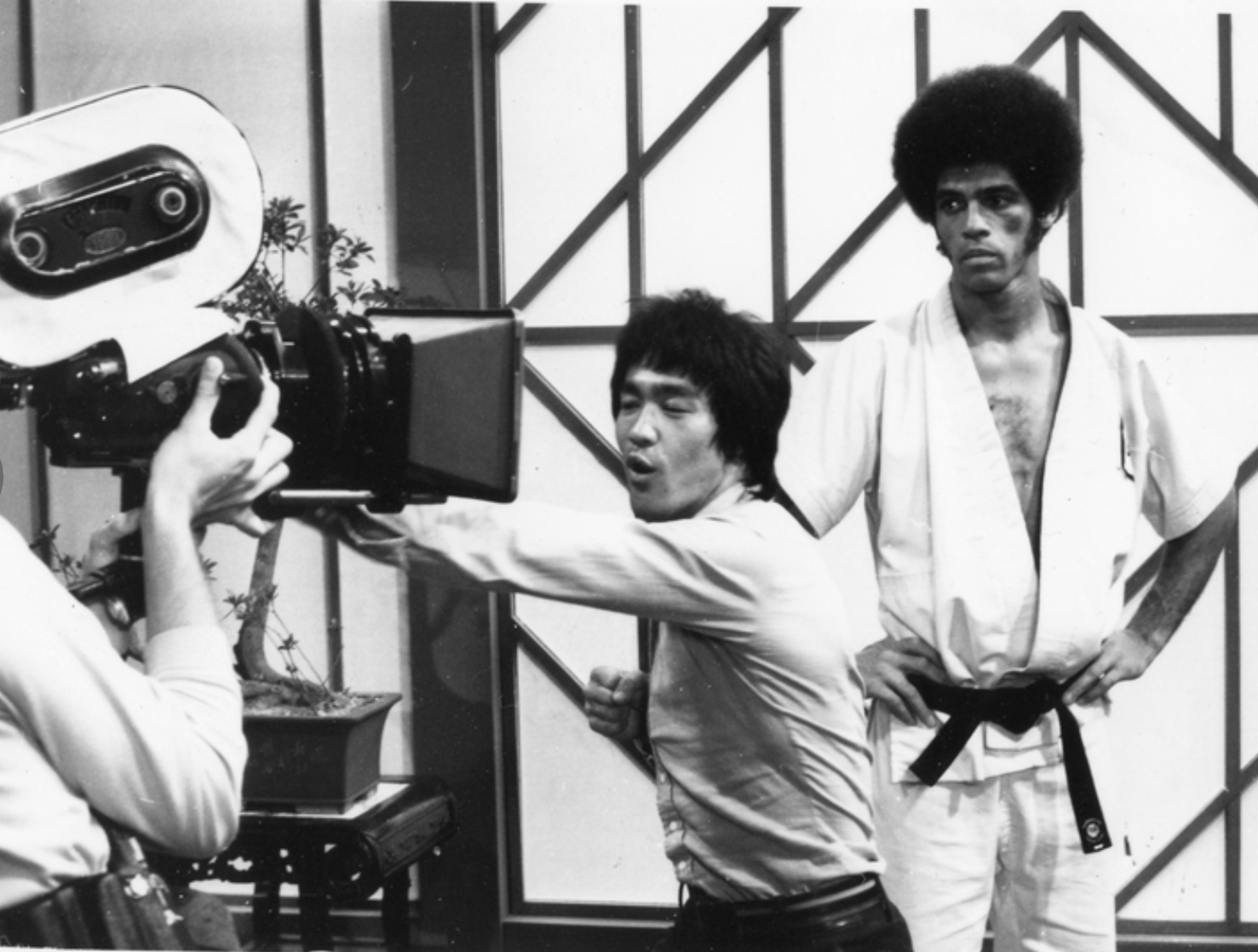 Bruce Lee