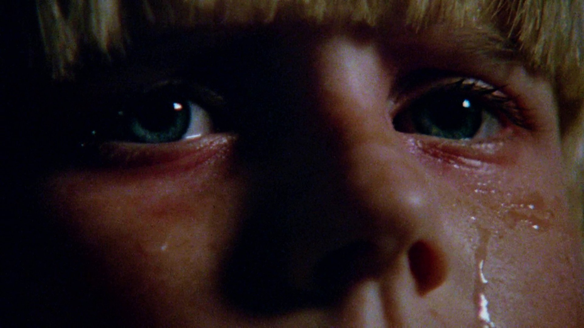 The Brood