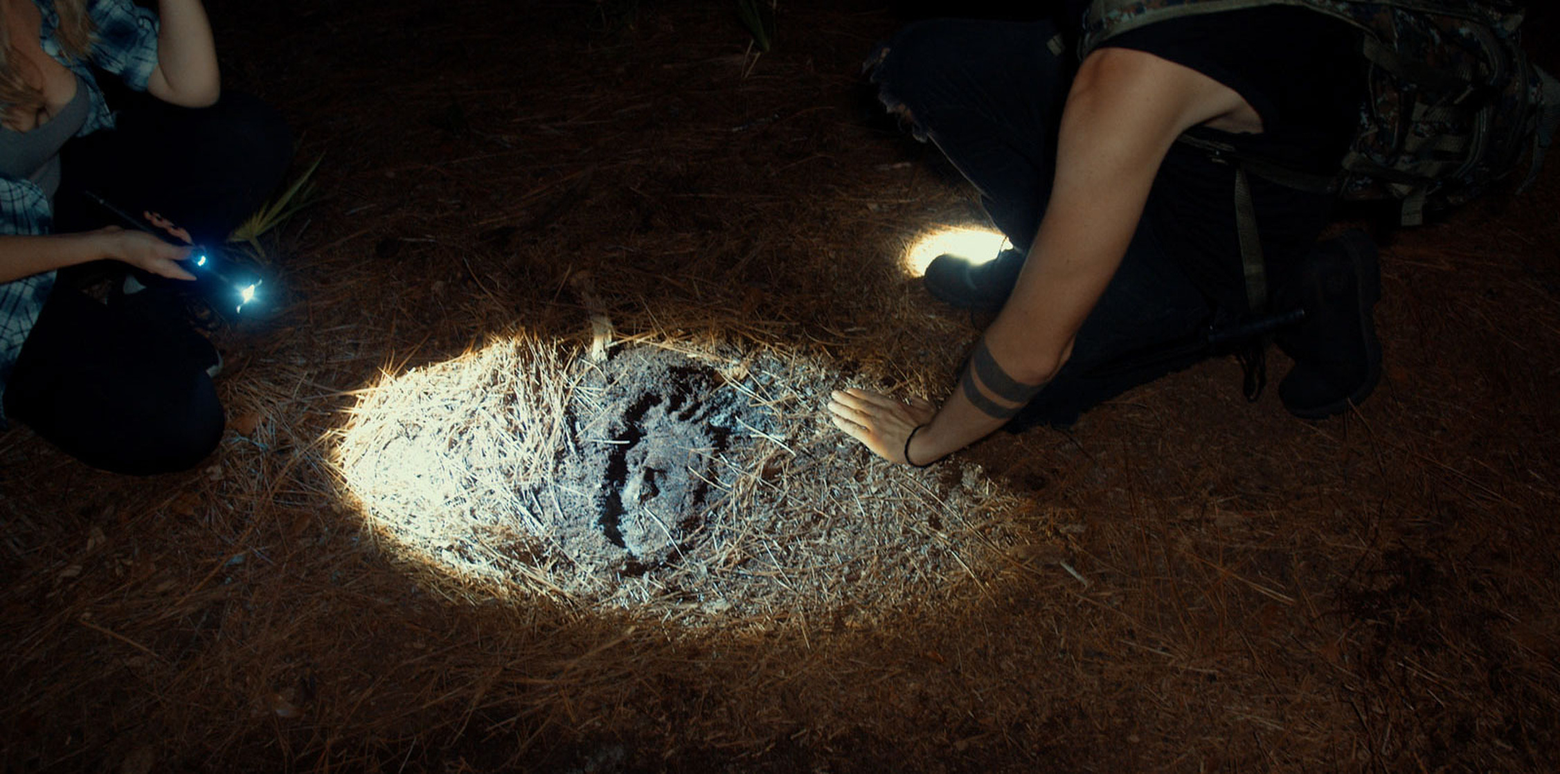 Shadows of Bigfoot