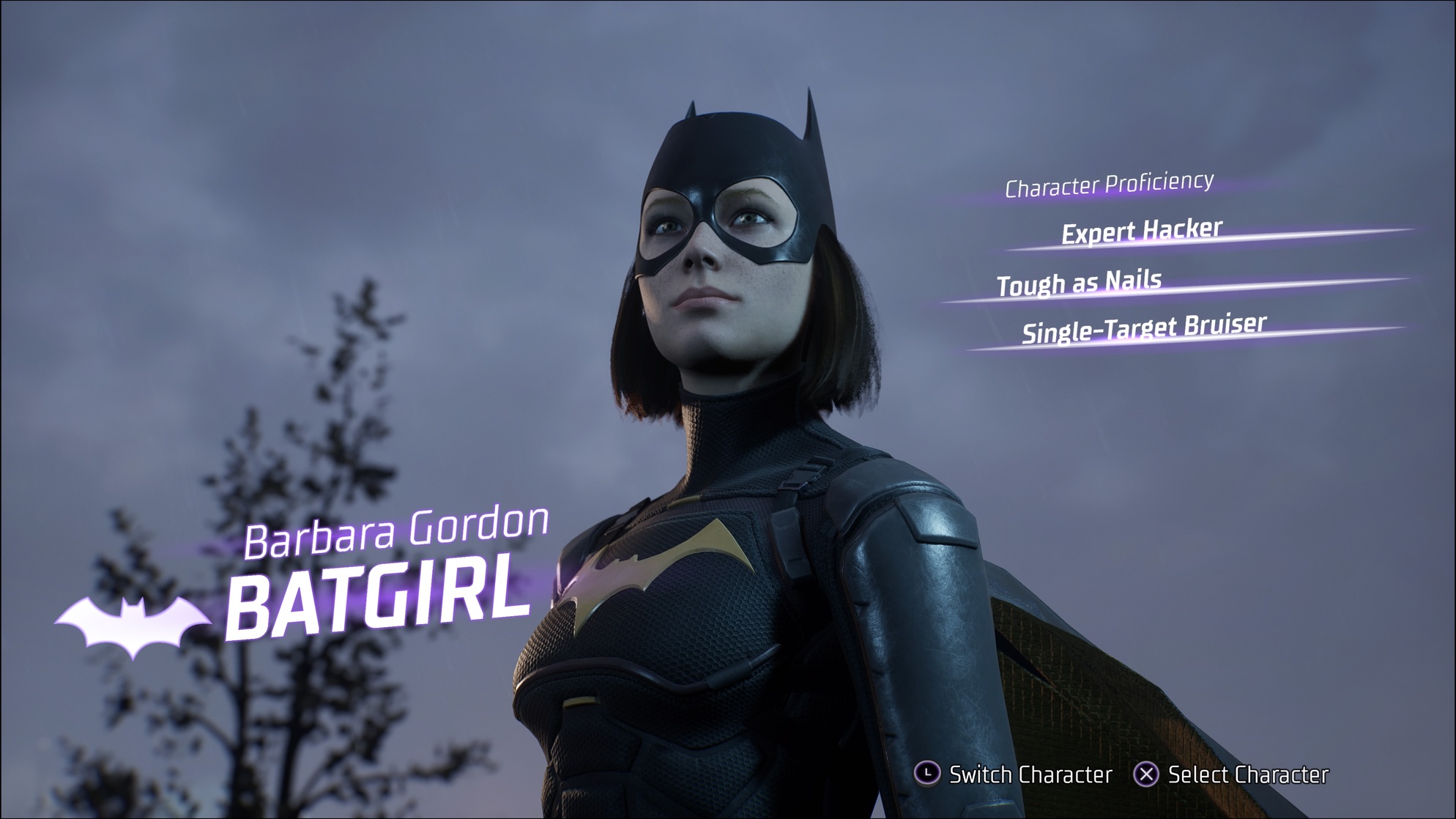 Gotham Knights