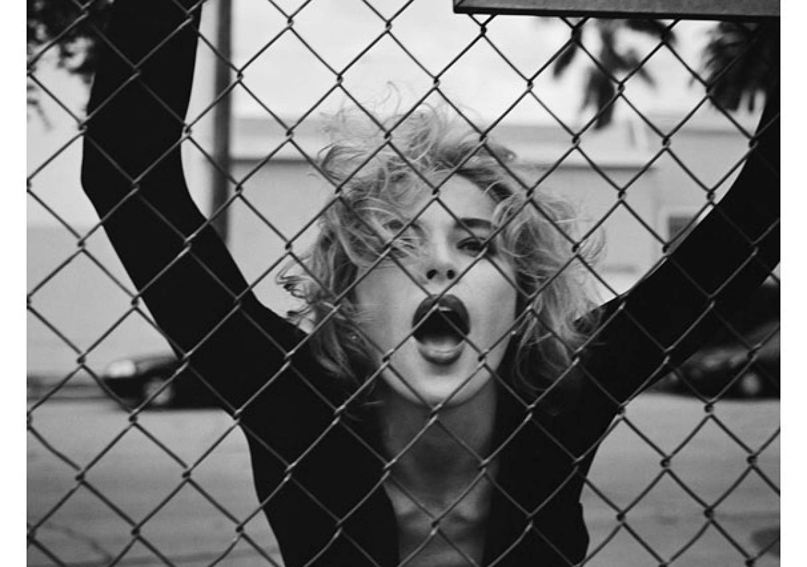 Sharon Stone Sharon Stone