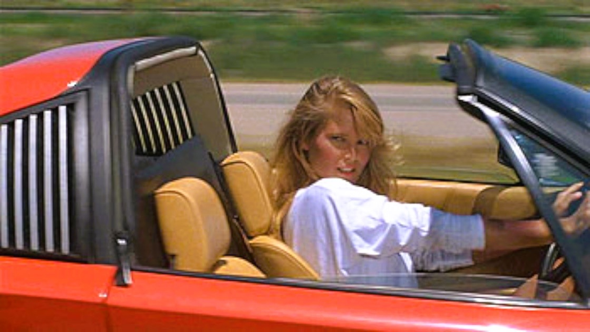 Christie Brinkley