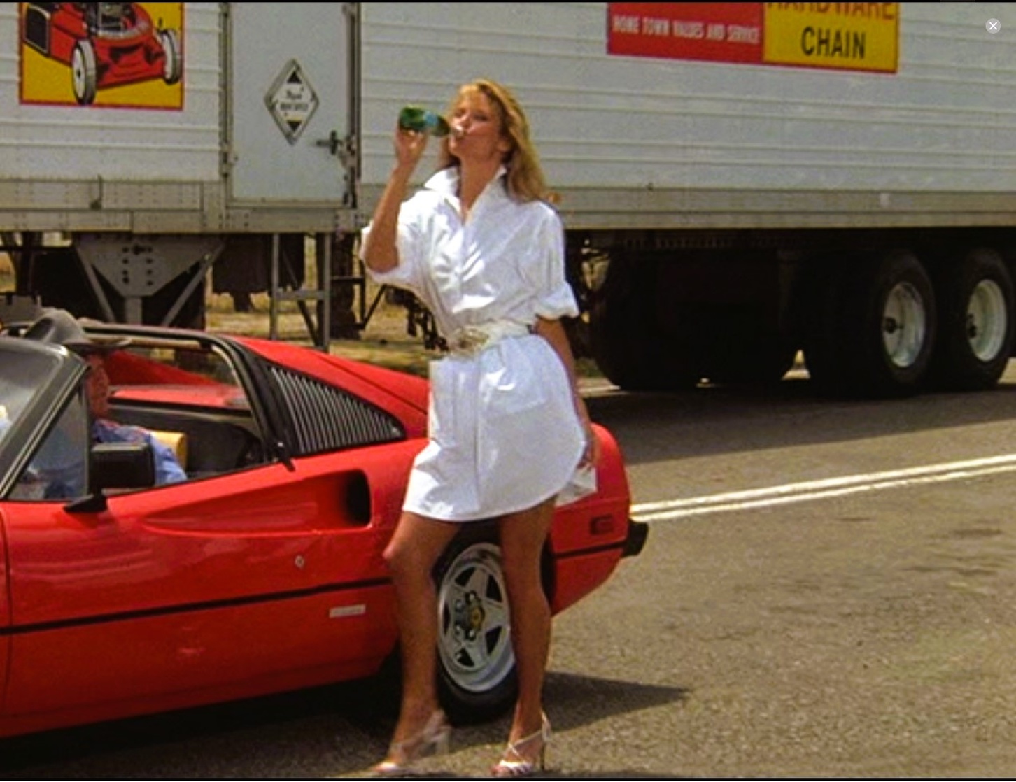 Christie Brinkley